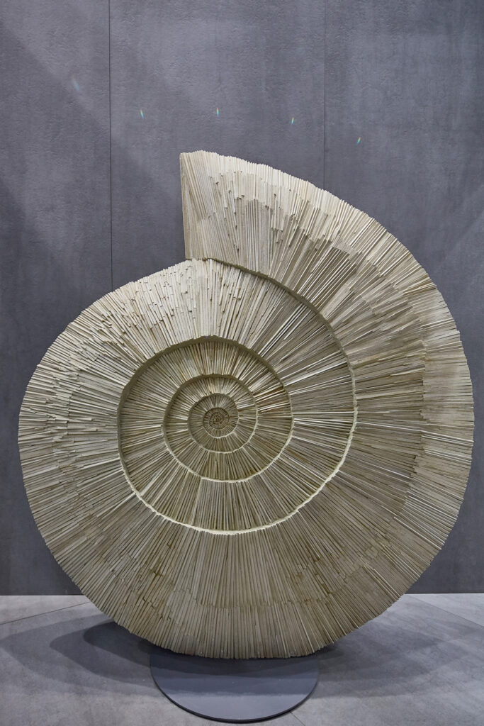 White Fossil 2018 180 x 160 x 40