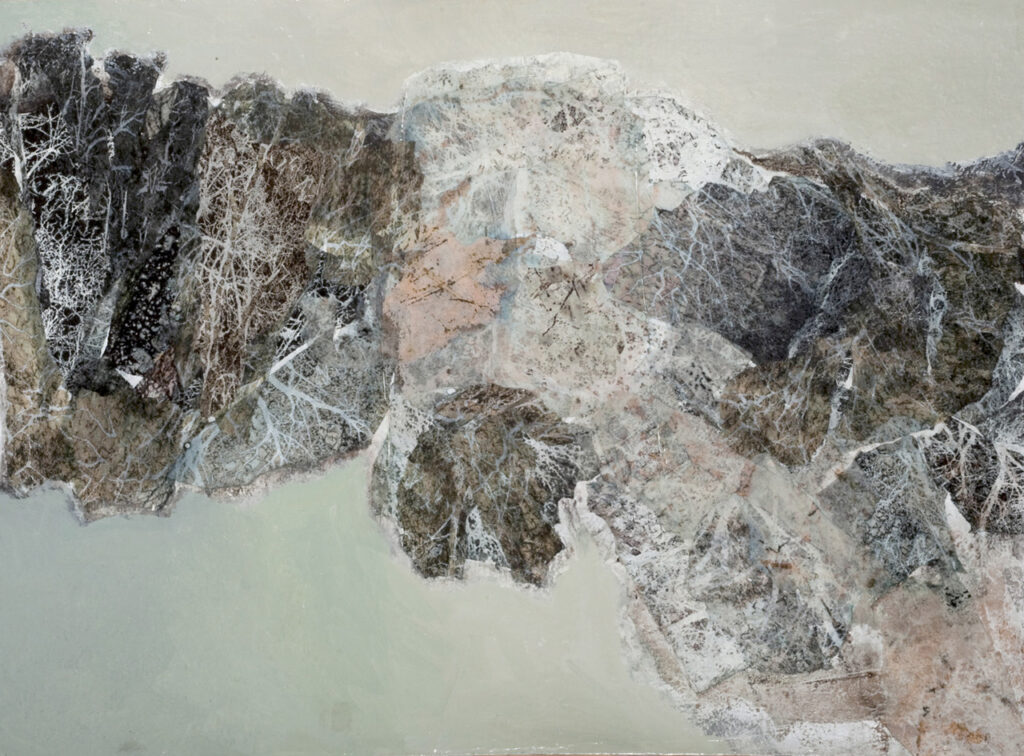 UNA CHIOMA IN ARIA  cm.60x80  olio, collages - 2010